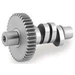 Andrews 212440 Cams For Big Twins. Fixed Price $251.95.