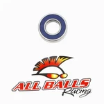 Balls Bearing Double Lip Seals 6003-2RS-C3. Fixed Price $12.15.