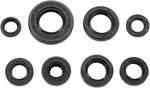 Moose Racing Oil Seal Set 0935-0028. Fixed Price $36.99.