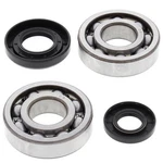 Main Crank Shaft Bearing Seal For Yamaha YZ250 2011-2018. Fixed Price $86.95.