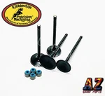 08-20 Kawasaki Kibblewhite Head Intake & Exhaust Valves Seals. Fixed Price $169.98.
