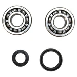 Pro-x Crankshaft Bearing And Seal Kit 23.CBS31089. Fixed Price $55.96.