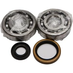 Balls Crankshaft Bearing/seal Kit 24-1020. Fixed Price $110.96.