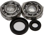 Balls 24-1030 Crankshaft Bearing And Seal Kit. Fixed Price $84.39.