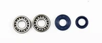 Athena Kit, Bearings And Seals For Crankshaft. Fixed Price $61.63.