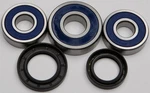 Balls 25-1355 Wheel Bearing And Seal Kit Rear. Fixed Price $52.04.