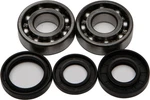 Balls 24-1022 Crankshaft Bearing And Seal Kit. Fixed Price $54.18.