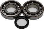 Balls Crankshaft Bearing/seal Kit 24-1081. Fixed Price $57.79.