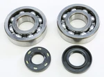 Kawasaki KX250 1987-2001 Pro Crankshaft Bearing And Seal Kit 23.CBS43087. Fixed Price $70.47.
