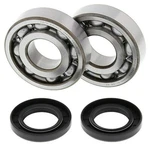Balls Crankshaft Bearings Seals Kawasaki KX500 83-04 24-1011 Freeshipping. Fixed Price $111.80.