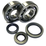Crankshaft 94-02 Bearing Seal Kit Suzuki RM250 250CC P400510444003 Koyo 2-STROKE. Fixed Price $103.98.