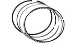 Revolution Performance RP3937VMF Replacement Ring Set Big Bore Piston Kit.... Fixed Price $69.57.