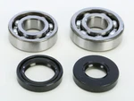 Pro X Crankshaft Bearing And Seal Kit 23.CBS21093. Fixed Price $36.95.