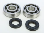Pro X Crankshaft Bearing And Seal Kit 23.CBS22005. Fixed Price $62.95.