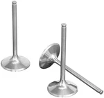 Pro X Titanium Valve 28.4334-2. Fixed Price $77.36.