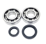 Main Crank Shaft Bearings & Seals Kit 94-95 Suzuki RM250S RM250R. Fixed Price $38.99.