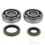 Balls Racing Crankshaft Bearing Kit Fits Gas Ec 125 2013-2016. Fixed Price $89.22.