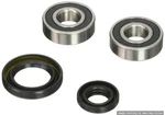 Pivot Works Front Wheel Bearings 2007-2009 Suzuki Burgman 650 PWFWS-S14-000. Fixed Price $42.57.