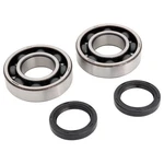 Pro X Crankshaft Main Bearing And Seal Kit 23.CBS43051. Fixed Price $95.99.