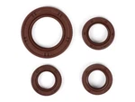 Gilera Stalker 50 Dt 04- Engine Oil Seal Set Fkm/ Viton Bgm Pro. Fixed Price $29.57.