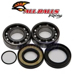 Balls Crank Bearing And Seal Kit For 1975 Yamaha MX250 - Engine Dr. Fixed Price $86.61.