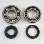 81 Suzuki RM125 Main Bearing Kit 09262-25070-0A0 09262-22025 09283-20034. Fixed Price $32.95.