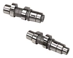 Andrews 55HG Gear Drive Camshsfts Kit 550 Lift 216355G Harley Twin 07-16. Fixed Price $333.79.