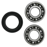 Hot Rods Counter Balancer Bearing Kit #HR00138 For Honda Crf 250. Fixed Price $36.68.