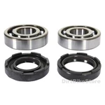 Yamaha Yz 490 (1982-1990) Pair Japanese Koyo Crank Shaft Main Bearings And Seals. Fixed Price $46.91.