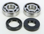 Pro X Crankshaft Bearing And Seal Kit 23.CBS21082. Fixed Price $30.99.
