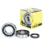 Pro X Crankshaft Bearing And Seal Kit 23.CBS43004. Fixed Price $85.06.