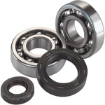 Balls Crankshaft Bearing / Seal Kit 22-41044 AB24-1044. Fixed Price $107.95.