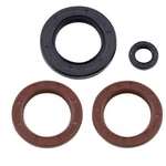 Vertex Oil Seal - 900 Ace 622206. Fixed Price $49.04.