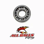 Balls Racing Inc Engine Bearing 63/28-C3 For Motorcycle And Atv. Fixed Price $37.35.