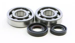 Ktm Hot Rods Crank Bearings & Seals Kit 2003-2008 K020. Fixed Price $63.60.