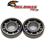 Balls Crank Bearing And Seal Kit For 1988-2002 Kawasaki KLF220 Bayou Vk. Fixed Price $74.34.
