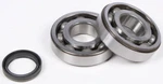 Pro-x Complete Crankshaft Bearing & Seal Rebuild Kit For Overhaul 23.CBS34005. Fixed Price $109.95.