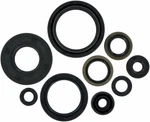 Moose Racing Oil Seal Set - 822183. Fixed Price $38.46.