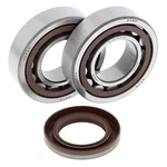 Moose Crank Bearing & Seal Kit #24-1106 Ktm. Fixed Price $197.11.