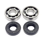 MR50 Elsinore Engine Main Crank Shaft Bearings & Seals Kit 74 75. Fixed Price $24.00.