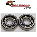 Balls Crank Bearing And Seal Kit For 1977-1978 Honda XR75 Engine Lg. Fixed Price $38.30.