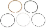 Athena Set S41316062 Replacement Forged Pistons. Fixed Price $46.93.