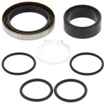 Balls Counter Shaft Bearing Kit For Gas EC300 21-25. Fixed Price $30.70.