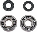 Moose Racing Crank Bearing And Seal Kit 0924-0019. Fixed Price $78.95.
