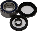 Balls Wheel Bearing & Seal Kit 1139 For Yamaha 1999-2014. Fixed Price $58.62.
