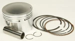 Wiseco 4466M07350. Fixed Price $189.99.