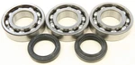 Balls 24-1092 Crankshaft Bearing And Seal Kit. Fixed Price $84.43.