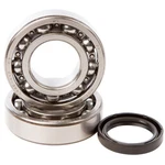 2004-2006 Suzuki Rmz 250 Dirt Bike Hot Rods Main Bearing And Seal Kit. Fixed Price $107.08.